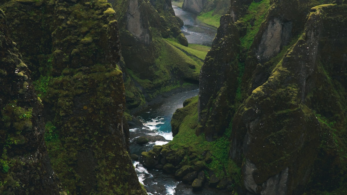 Cool northern landscapes are drawing travelers who once chased guaranteed sunshine.